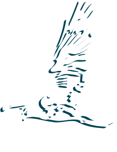 Birdwatching Foce del Coghinas